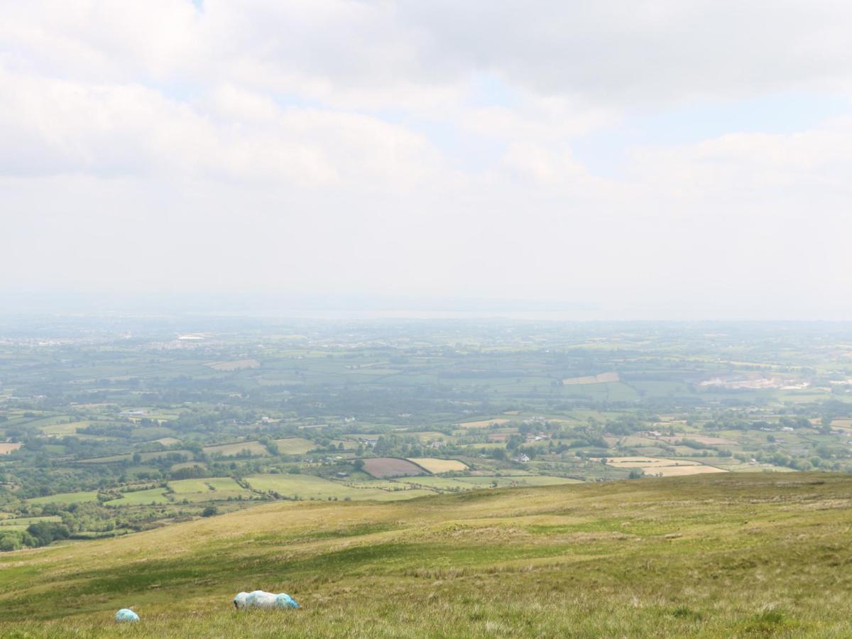 Slieve Gallion Cottage マラフェルト エクステリア 写真